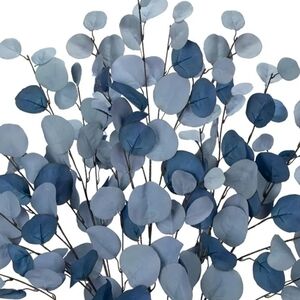 Meet your Posher, Catina